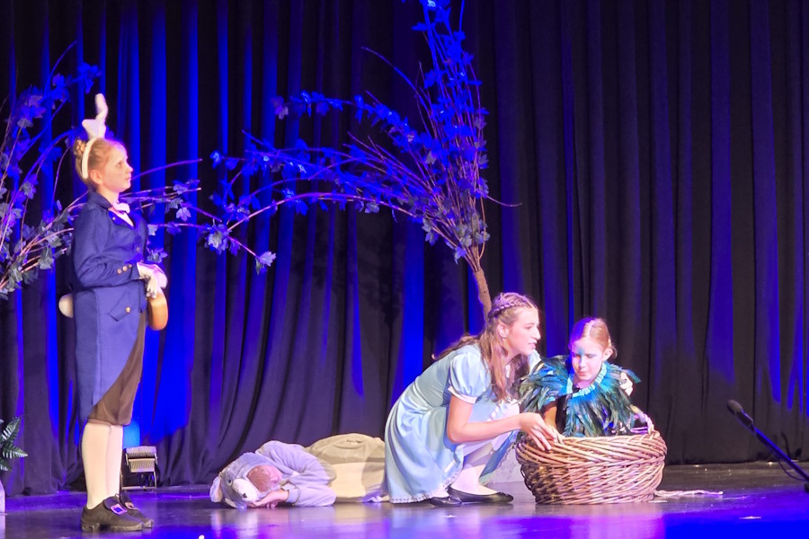 2025_Alice.im.Wunderland 7.jpg